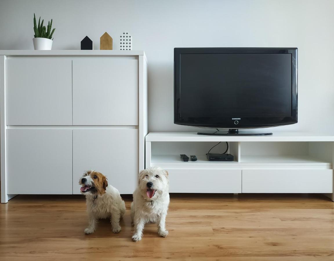 Uroczy Apartament Pod Skarpa วาโดวิเซ ภายนอก รูปภาพ